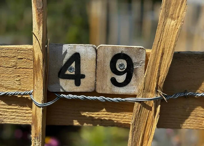 Stekkie 49